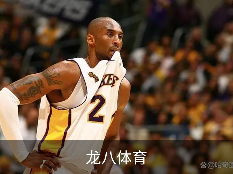 龙八体育概况